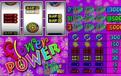 Flower Power Slots & Flying Ace Slots